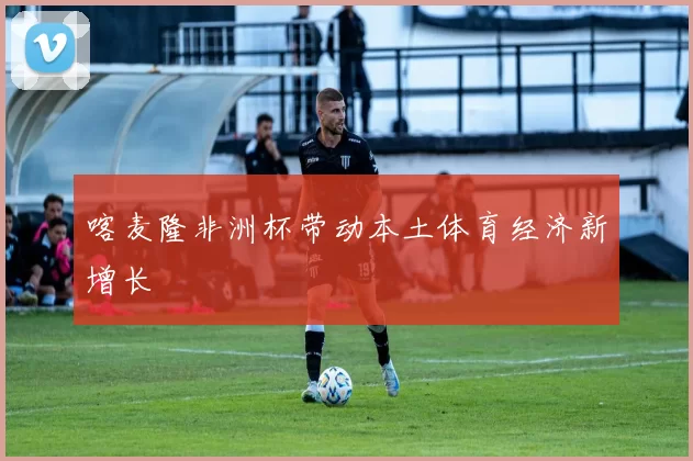 喀麦隆非洲杯带动本土体育经济新增长