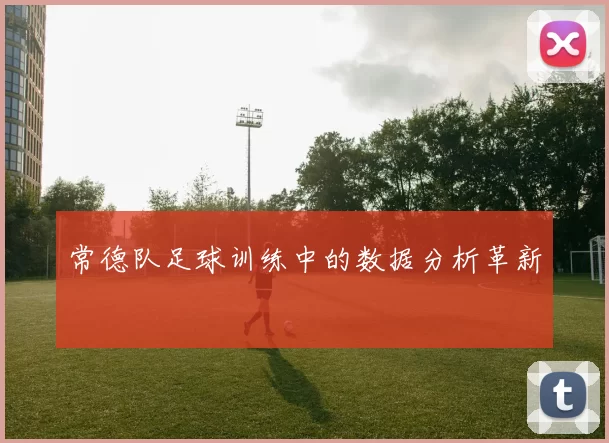 常德队足球训练中的数据分析革新