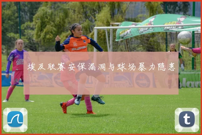 埃及联赛安保漏洞与球场暴力隐患