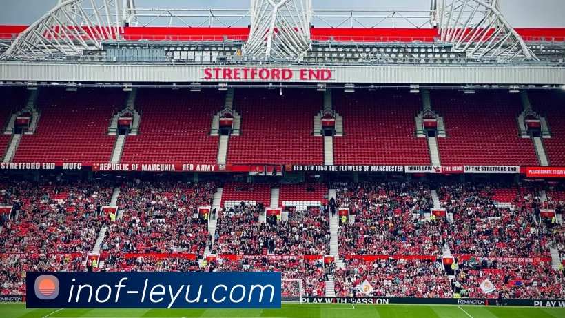 App Interface Preview